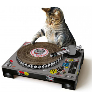 Cat DJ Scratching Deck