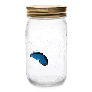 Electronic butterfly in a jar
