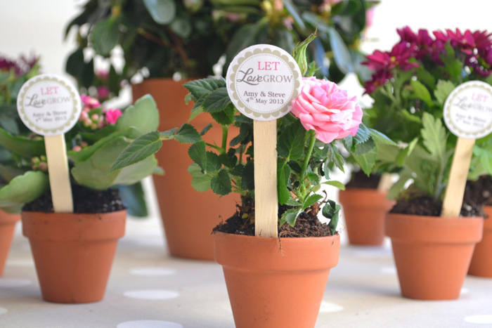 Loving these gorgeous potted flowers wedding favors! @pinkmitten.com #weddingfavors #plantfavors #flowerfavors