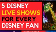 5 Disney Live Shows for Every Disney Fan's Bucket List @pinkmitten.com #disney #disneyshows #disneycruises #broadway