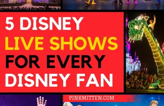 5 Disney Live Shows for Every Disney Fan's Bucket List @pinkmitten.com #disney #disneyshows #disneycruises #broadway